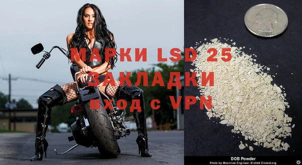 ПСИЛОЦИБИНОВЫЕ ГРИБЫ Нягань