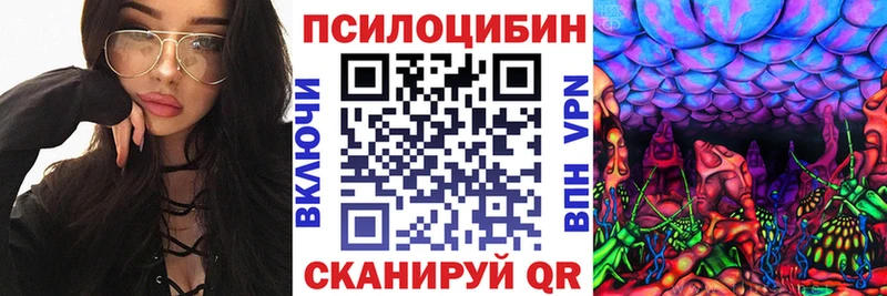 Псилоцибиновые грибы прущие грибы  Осташков 